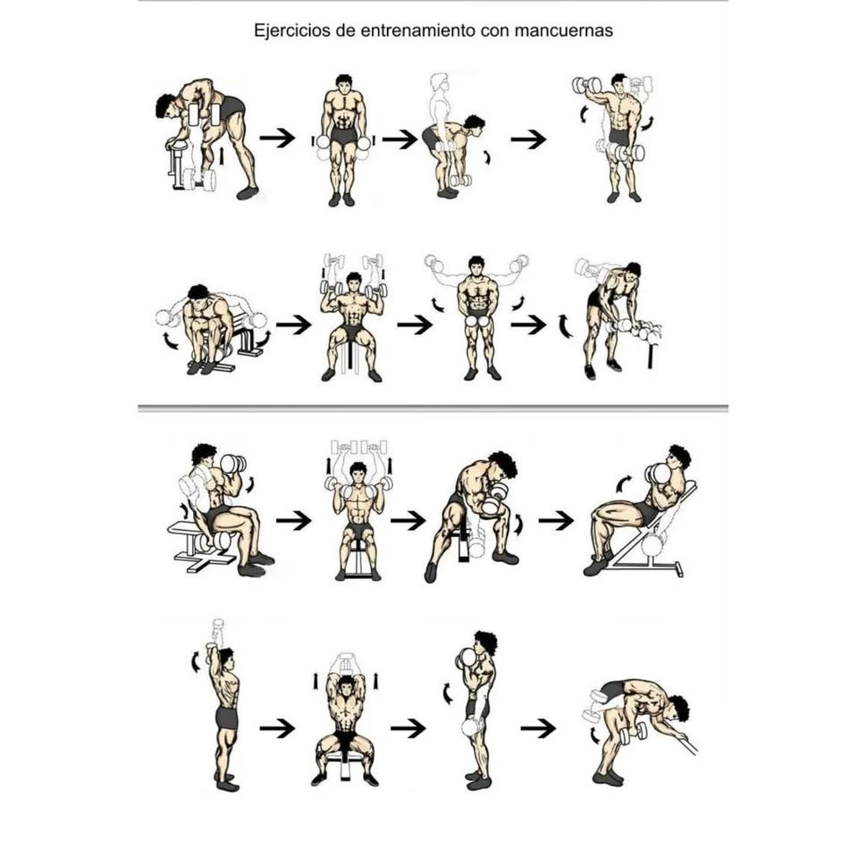 Set pesas mancuernas cromado 20kg - Imagen 4